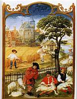 Fauchage des bles et tonte des moutons